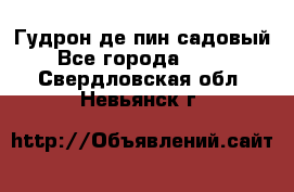 Гудрон де пин садовый - Все города  »    . Свердловская обл.,Невьянск г.